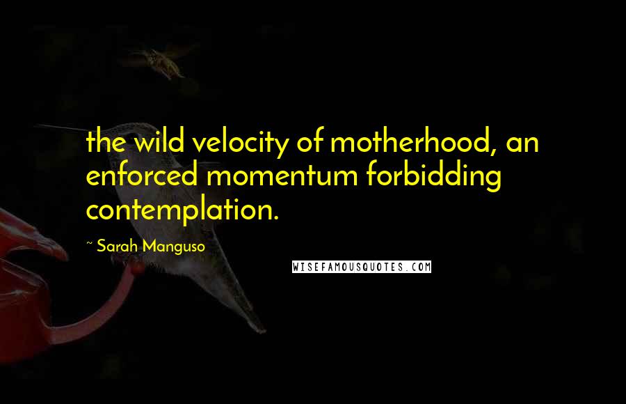 Sarah Manguso Quotes: the wild velocity of motherhood, an enforced momentum forbidding contemplation.