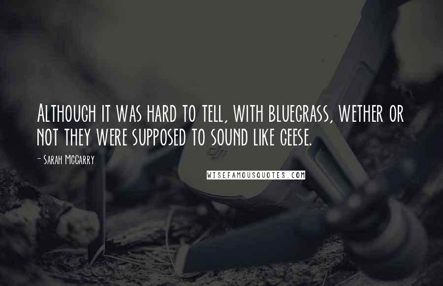 Sarah McCarry Quotes: Although it was hard to tell, with bluegrass, wether or not they were supposed to sound like geese.