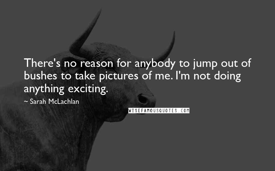 Sarah McLachlan Quotes: There's no reason for anybody to jump out of bushes to take pictures of me. I'm not doing anything exciting.