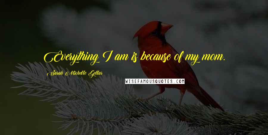 Sarah Michelle Gellar Quotes: Everything I am is because of my mom.