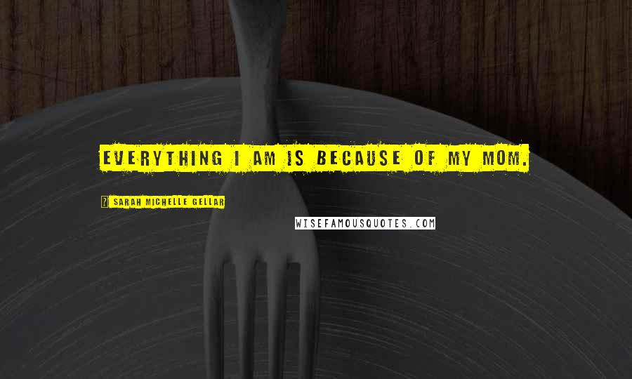 Sarah Michelle Gellar Quotes: Everything I am is because of my mom.