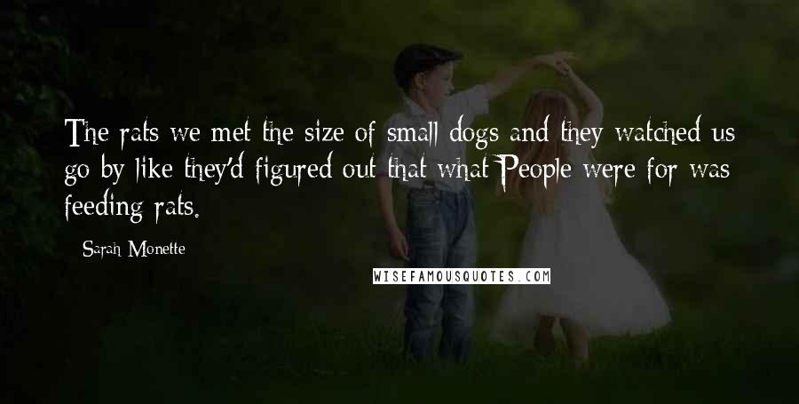 Sarah Monette Quotes: The rats we met the size of small dogs and they watched us go by like they'd figured out that what People were for was feeding rats.