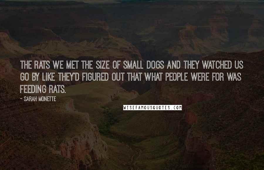 Sarah Monette Quotes: The rats we met the size of small dogs and they watched us go by like they'd figured out that what People were for was feeding rats.
