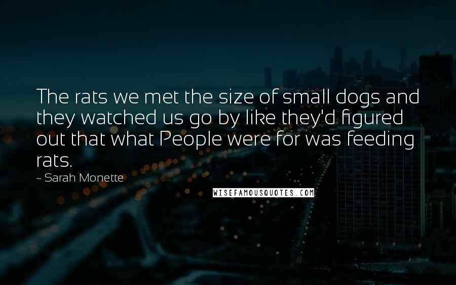 Sarah Monette Quotes: The rats we met the size of small dogs and they watched us go by like they'd figured out that what People were for was feeding rats.