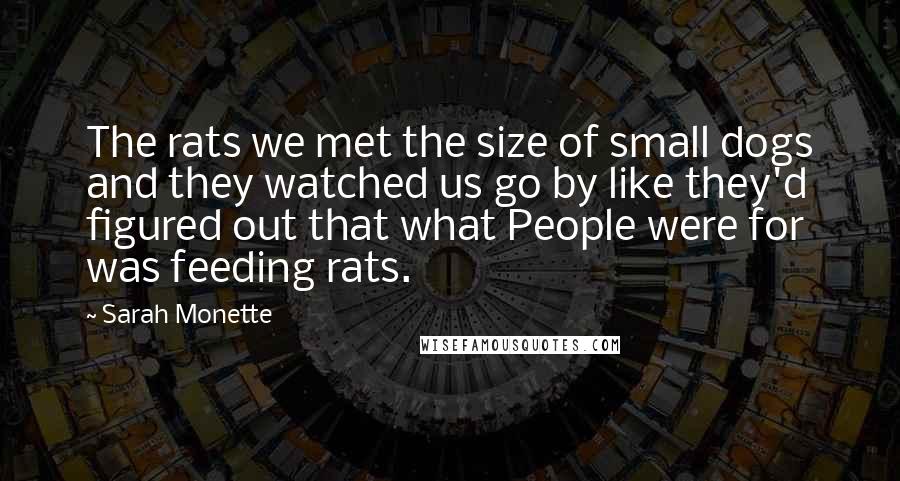 Sarah Monette Quotes: The rats we met the size of small dogs and they watched us go by like they'd figured out that what People were for was feeding rats.