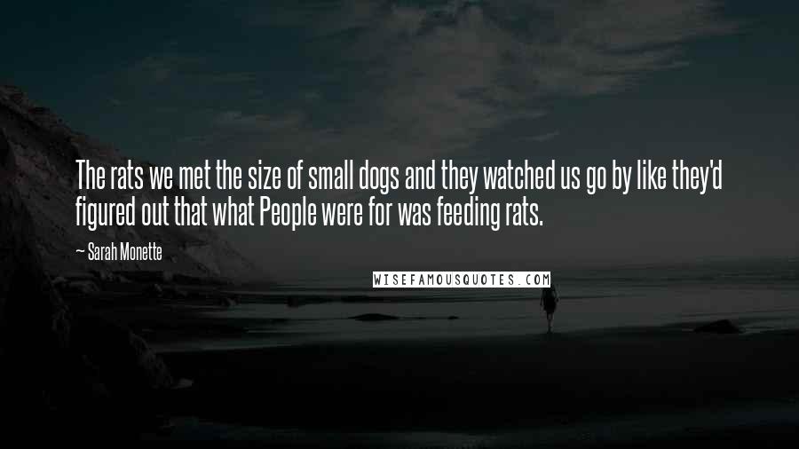 Sarah Monette Quotes: The rats we met the size of small dogs and they watched us go by like they'd figured out that what People were for was feeding rats.