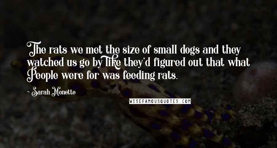 Sarah Monette Quotes: The rats we met the size of small dogs and they watched us go by like they'd figured out that what People were for was feeding rats.