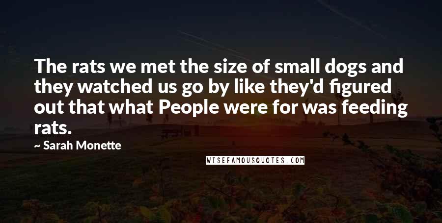 Sarah Monette Quotes: The rats we met the size of small dogs and they watched us go by like they'd figured out that what People were for was feeding rats.