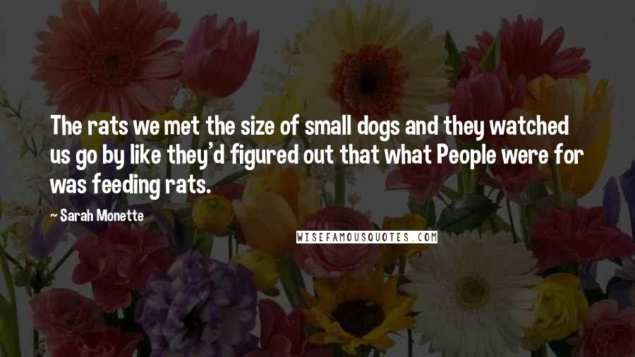 Sarah Monette Quotes: The rats we met the size of small dogs and they watched us go by like they'd figured out that what People were for was feeding rats.
