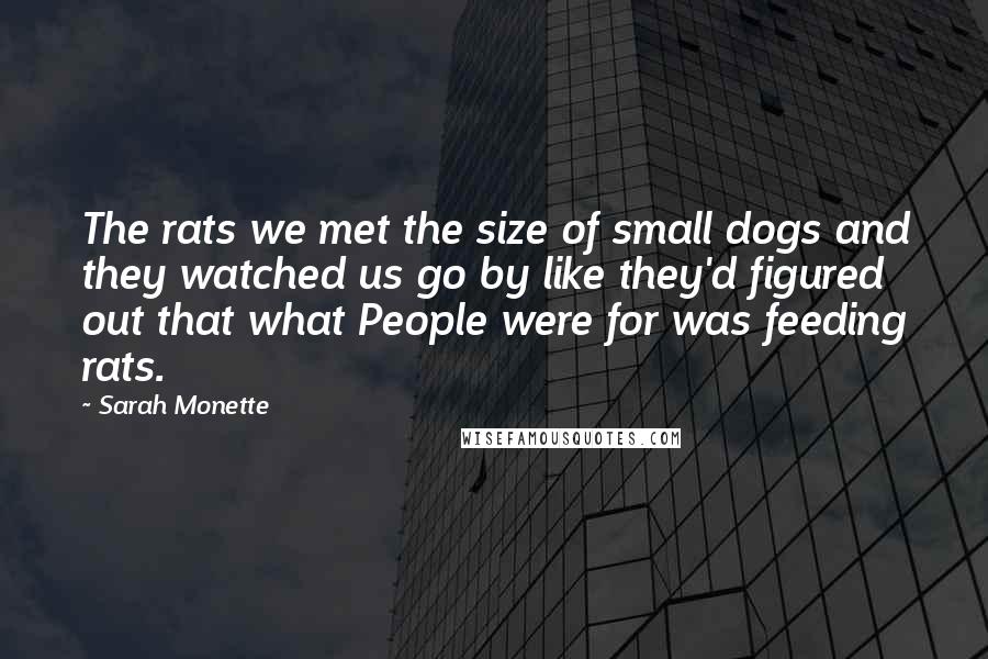 Sarah Monette Quotes: The rats we met the size of small dogs and they watched us go by like they'd figured out that what People were for was feeding rats.
