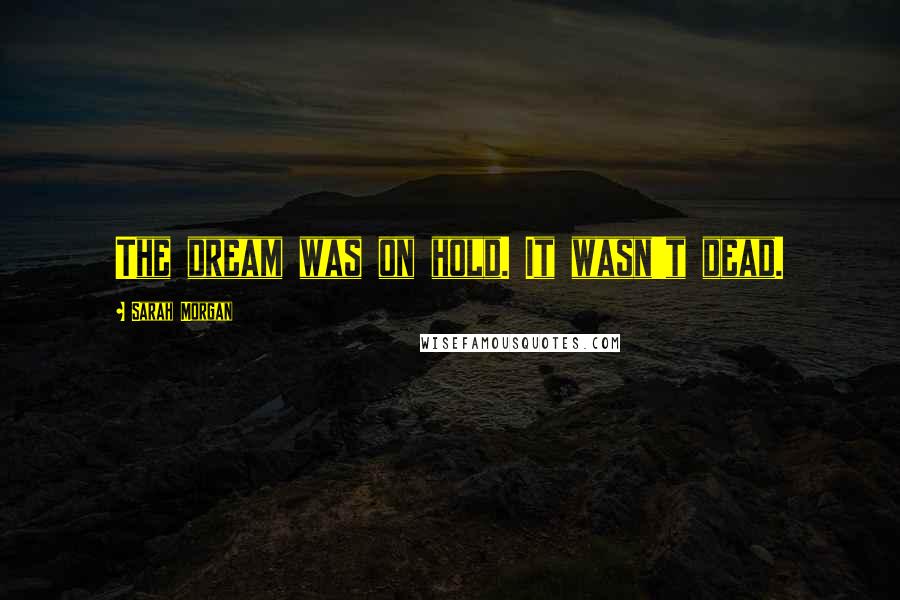 Sarah Morgan Quotes: The dream was on hold. It wasn't dead.