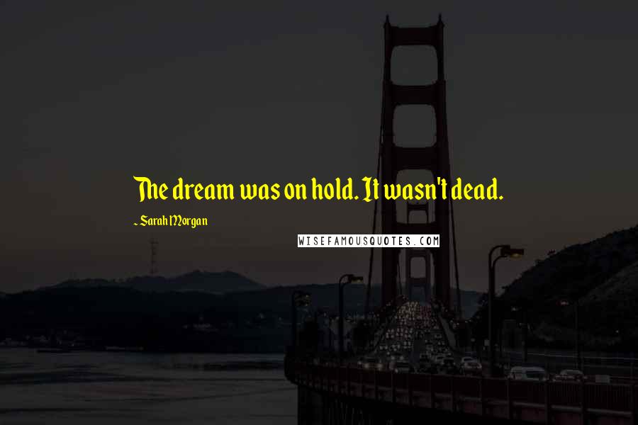 Sarah Morgan Quotes: The dream was on hold. It wasn't dead.