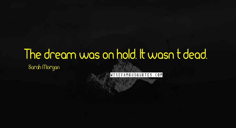 Sarah Morgan Quotes: The dream was on hold. It wasn't dead.