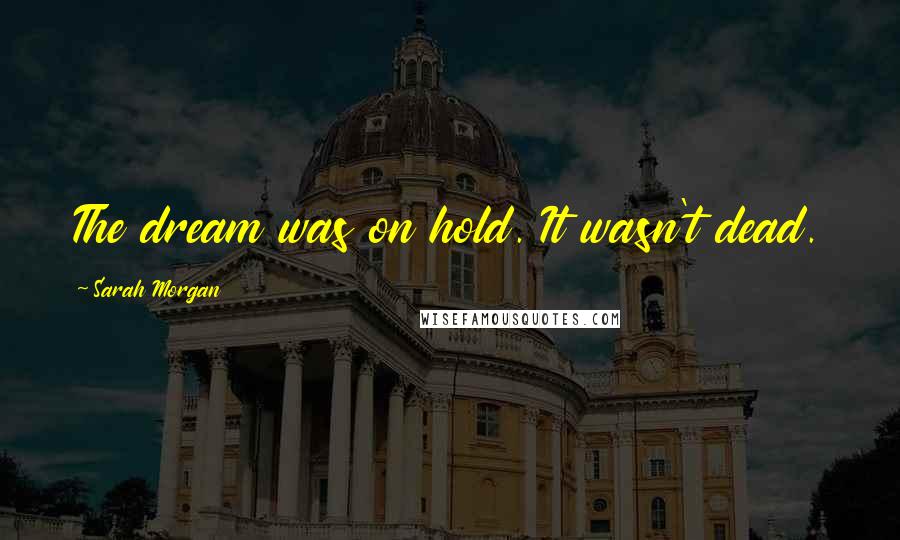 Sarah Morgan Quotes: The dream was on hold. It wasn't dead.