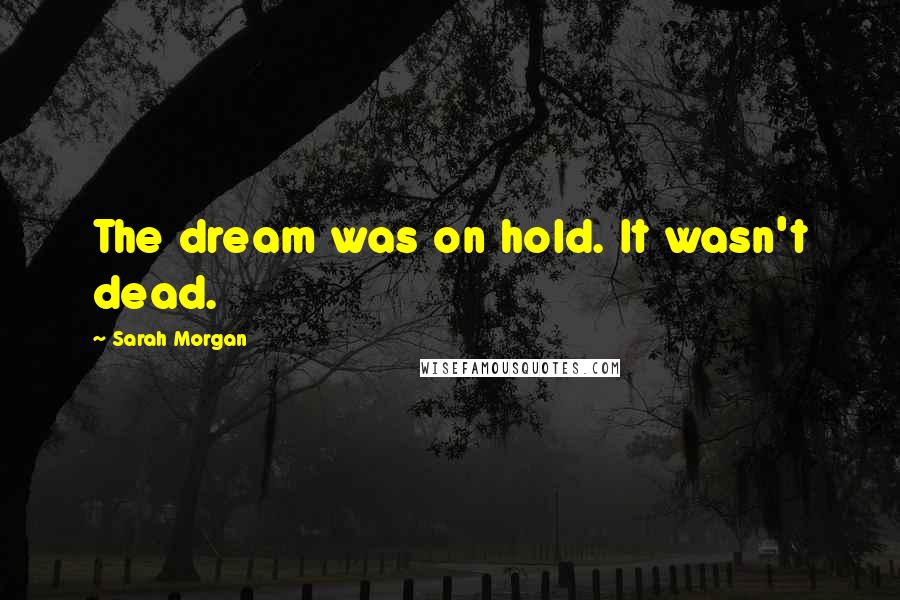 Sarah Morgan Quotes: The dream was on hold. It wasn't dead.