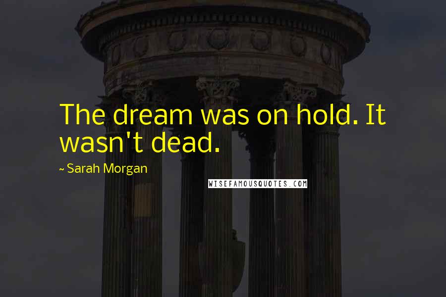 Sarah Morgan Quotes: The dream was on hold. It wasn't dead.