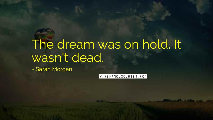 Sarah Morgan Quotes: The dream was on hold. It wasn't dead.