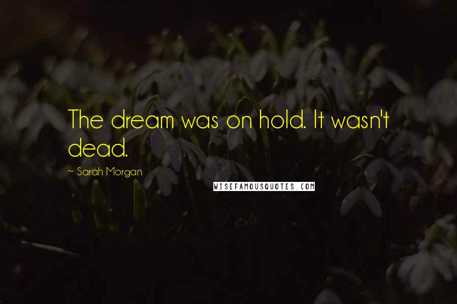 Sarah Morgan Quotes: The dream was on hold. It wasn't dead.