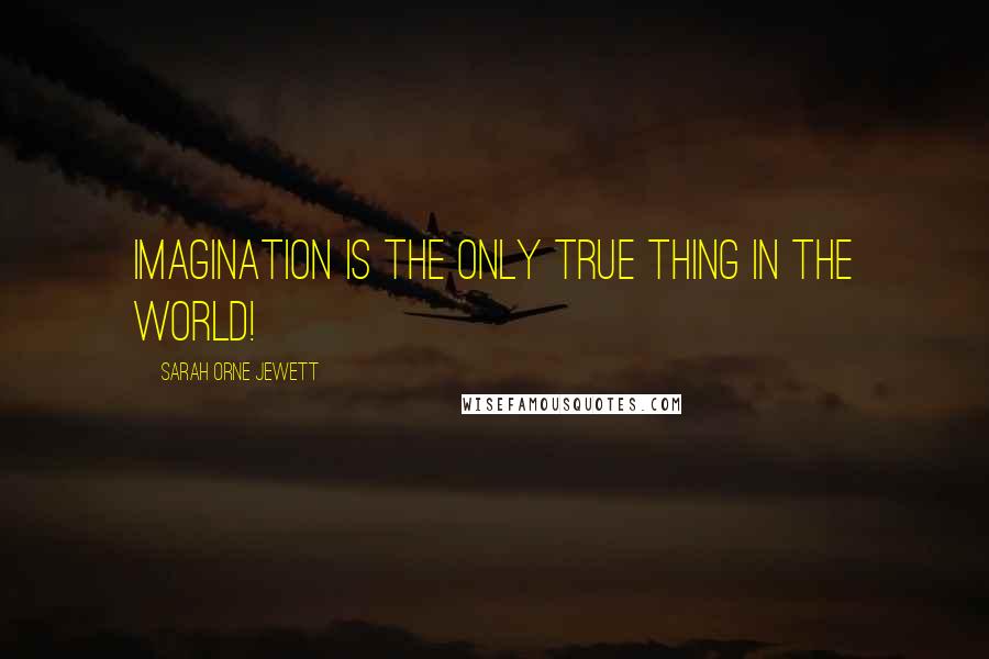 Sarah Orne Jewett Quotes: Imagination is the only true thing in the world!