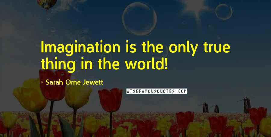 Sarah Orne Jewett Quotes: Imagination is the only true thing in the world!