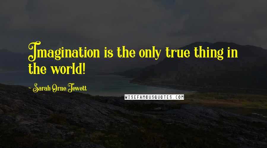 Sarah Orne Jewett Quotes: Imagination is the only true thing in the world!