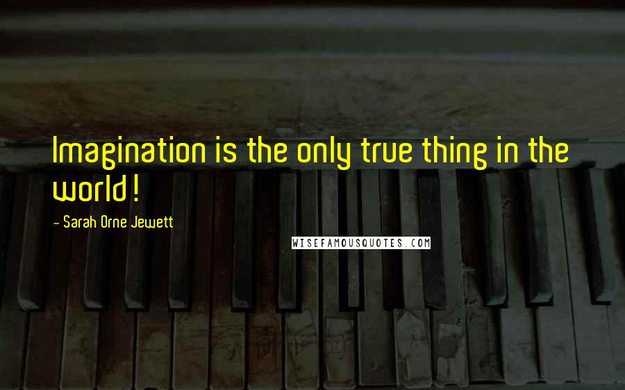 Sarah Orne Jewett Quotes: Imagination is the only true thing in the world!