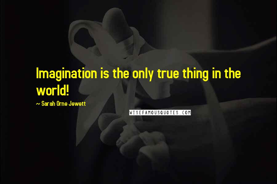 Sarah Orne Jewett Quotes: Imagination is the only true thing in the world!