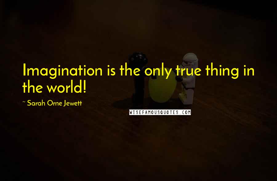 Sarah Orne Jewett Quotes: Imagination is the only true thing in the world!