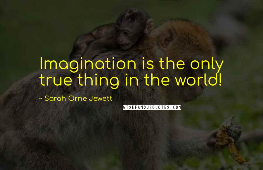 Sarah Orne Jewett Quotes: Imagination is the only true thing in the world!