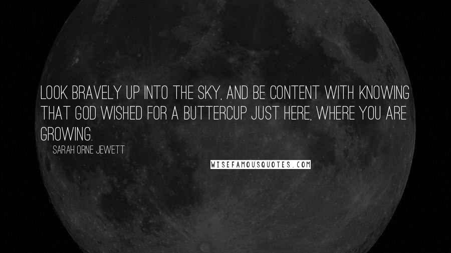 Sarah Orne Jewett Quotes: Look bravely up into the sky, And be content with knowing That God wished for a buttercup Just here, where you are growing.