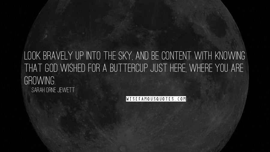 Sarah Orne Jewett Quotes: Look bravely up into the sky, And be content with knowing That God wished for a buttercup Just here, where you are growing.