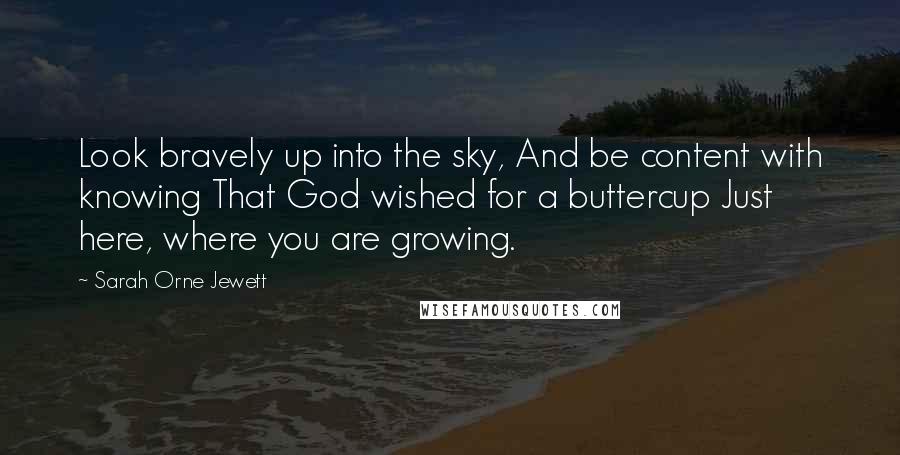 Sarah Orne Jewett Quotes: Look bravely up into the sky, And be content with knowing That God wished for a buttercup Just here, where you are growing.