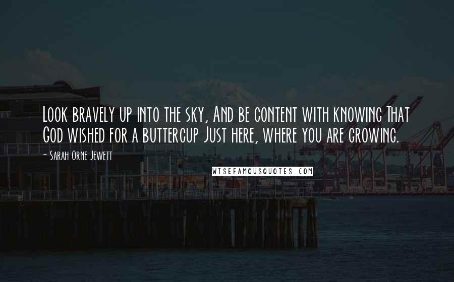 Sarah Orne Jewett Quotes: Look bravely up into the sky, And be content with knowing That God wished for a buttercup Just here, where you are growing.