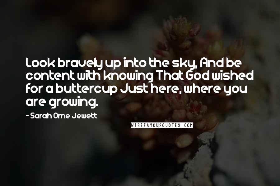 Sarah Orne Jewett Quotes: Look bravely up into the sky, And be content with knowing That God wished for a buttercup Just here, where you are growing.