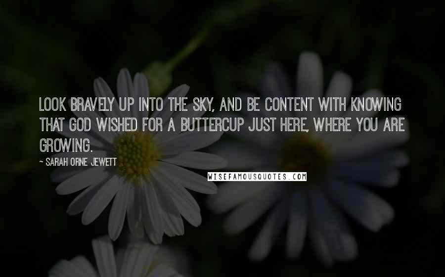 Sarah Orne Jewett Quotes: Look bravely up into the sky, And be content with knowing That God wished for a buttercup Just here, where you are growing.