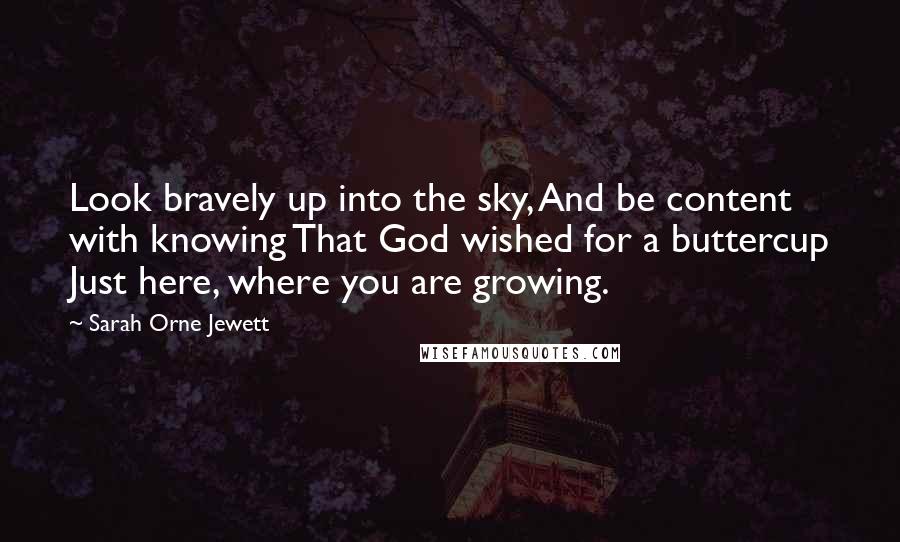 Sarah Orne Jewett Quotes: Look bravely up into the sky, And be content with knowing That God wished for a buttercup Just here, where you are growing.