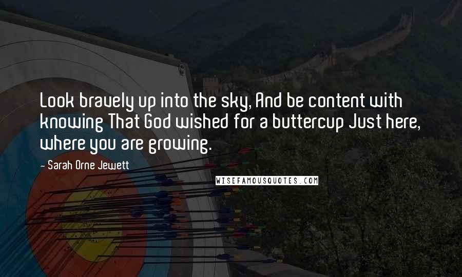 Sarah Orne Jewett Quotes: Look bravely up into the sky, And be content with knowing That God wished for a buttercup Just here, where you are growing.