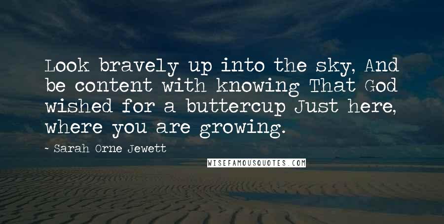 Sarah Orne Jewett Quotes: Look bravely up into the sky, And be content with knowing That God wished for a buttercup Just here, where you are growing.