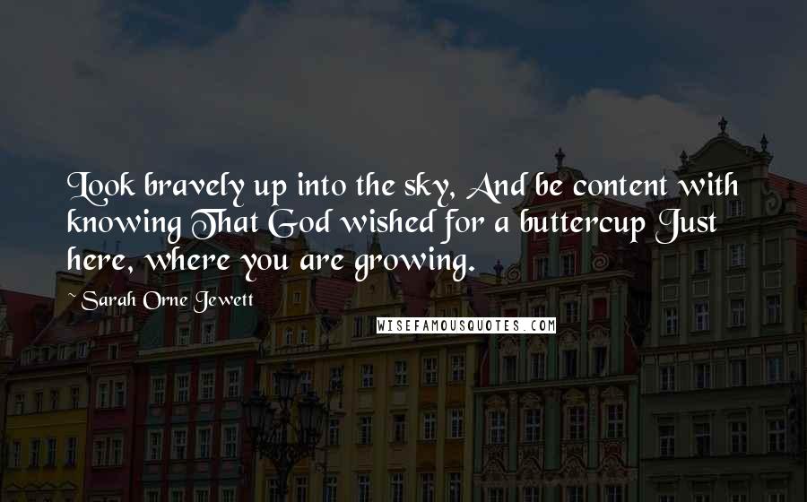 Sarah Orne Jewett Quotes: Look bravely up into the sky, And be content with knowing That God wished for a buttercup Just here, where you are growing.