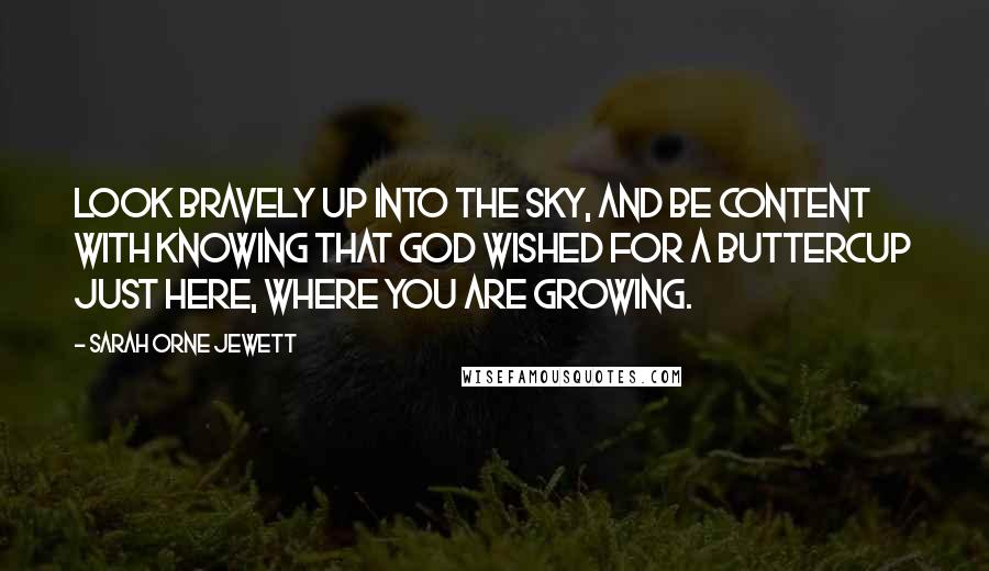 Sarah Orne Jewett Quotes: Look bravely up into the sky, And be content with knowing That God wished for a buttercup Just here, where you are growing.