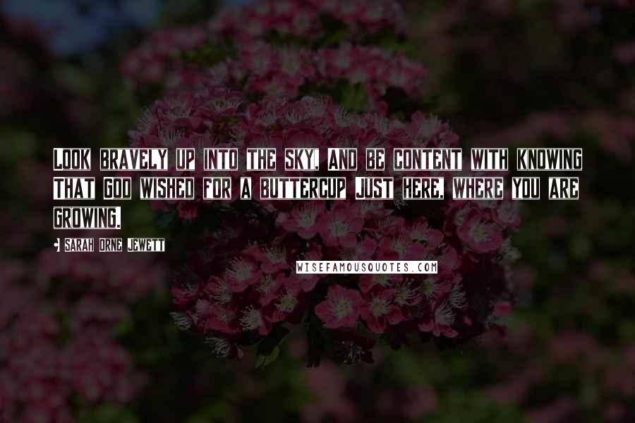 Sarah Orne Jewett Quotes: Look bravely up into the sky, And be content with knowing That God wished for a buttercup Just here, where you are growing.