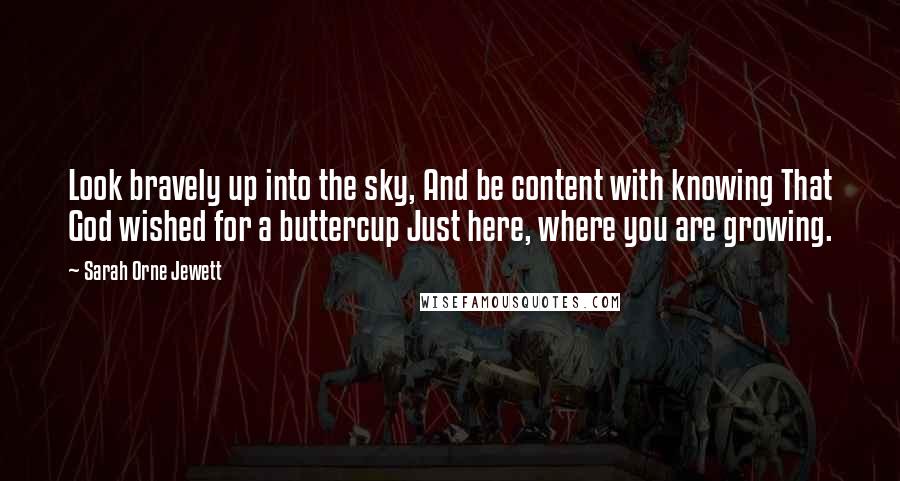 Sarah Orne Jewett Quotes: Look bravely up into the sky, And be content with knowing That God wished for a buttercup Just here, where you are growing.