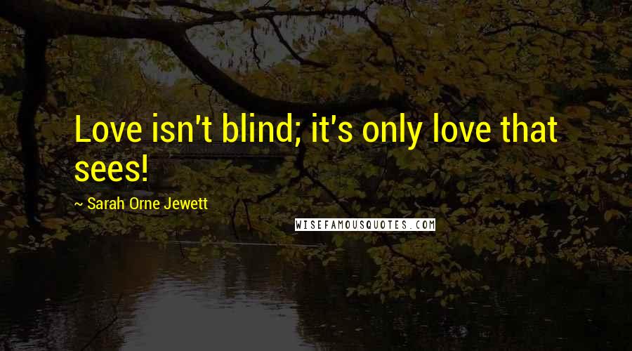 Sarah Orne Jewett Quotes: Love isn't blind; it's only love that sees!