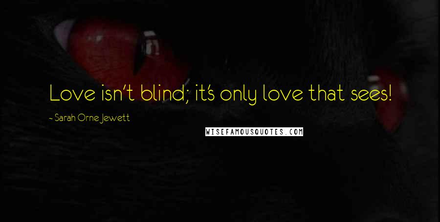 Sarah Orne Jewett Quotes: Love isn't blind; it's only love that sees!