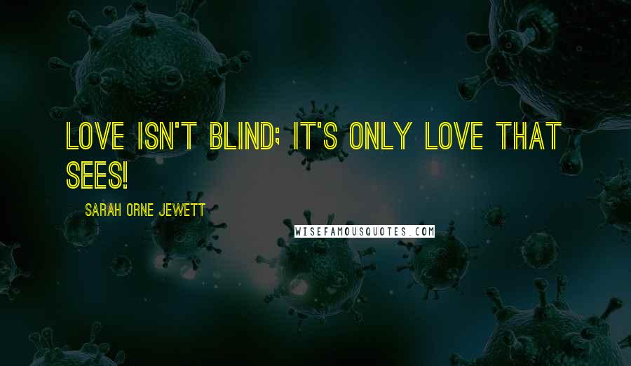 Sarah Orne Jewett Quotes: Love isn't blind; it's only love that sees!