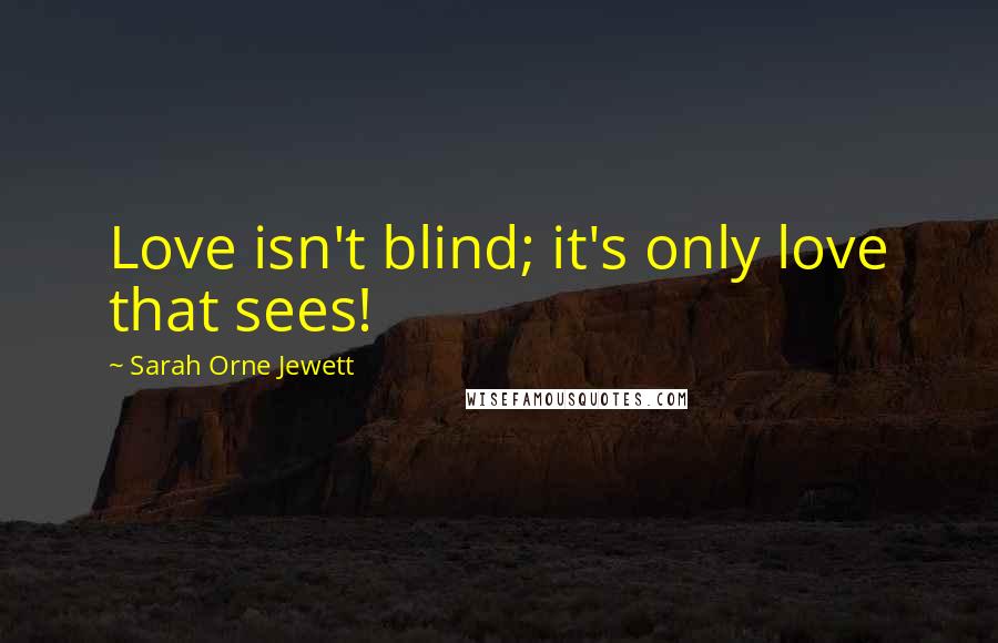 Sarah Orne Jewett Quotes: Love isn't blind; it's only love that sees!