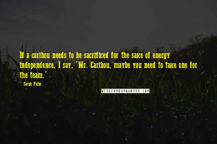 Sarah Palin Quotes: If a caribou needs to be sacrificed for the sake of energy independence, I say, 'Mr. Caribou, maybe you need to take one for the team.'