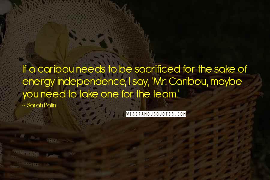 Sarah Palin Quotes: If a caribou needs to be sacrificed for the sake of energy independence, I say, 'Mr. Caribou, maybe you need to take one for the team.'