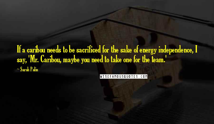 Sarah Palin Quotes: If a caribou needs to be sacrificed for the sake of energy independence, I say, 'Mr. Caribou, maybe you need to take one for the team.'