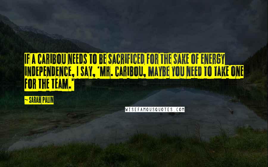 Sarah Palin Quotes: If a caribou needs to be sacrificed for the sake of energy independence, I say, 'Mr. Caribou, maybe you need to take one for the team.'